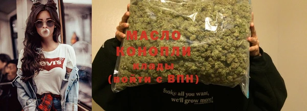 бошки Бронницы