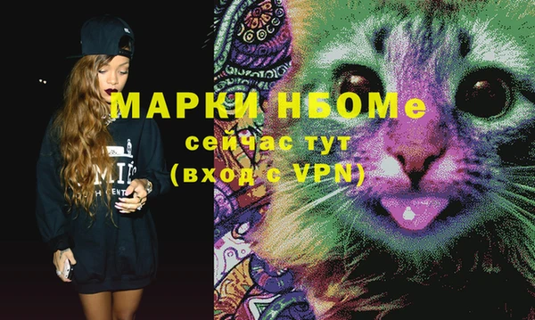 бошки Бронницы