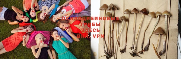 герыч Бородино