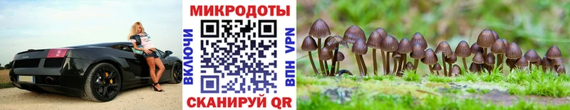 Галлюциногенные грибы Psilocybe  Раменское 